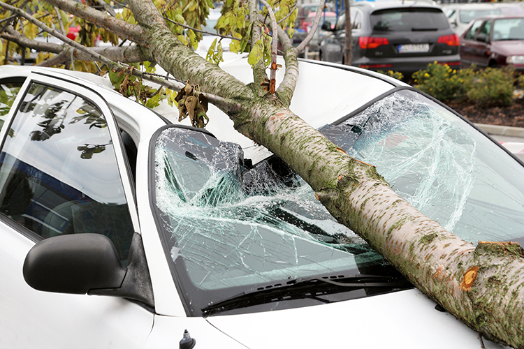 What auto insurance coverage is needed to cover hurricane damage
